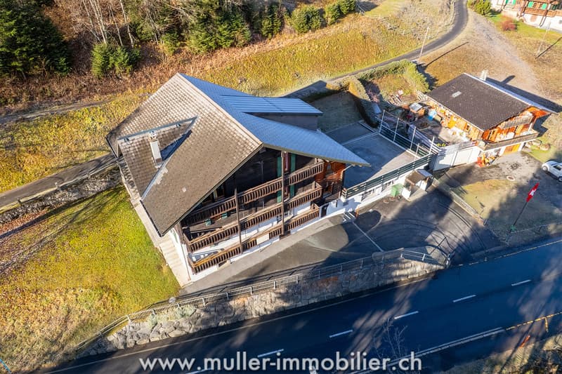 Chalet d'accueil pour groupes à Morgins aux Portes-du-Soleil (2)