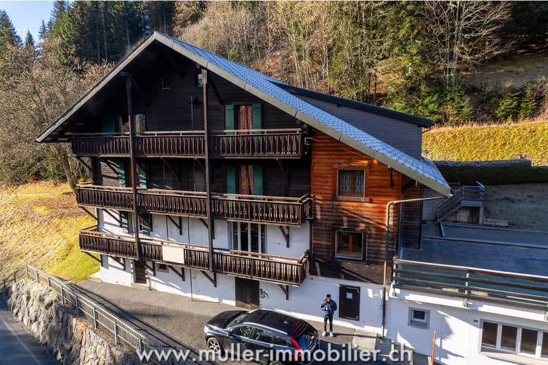 Chalet d'accueil pour groupes à Morgins aux Portes-du-Soleil (3)