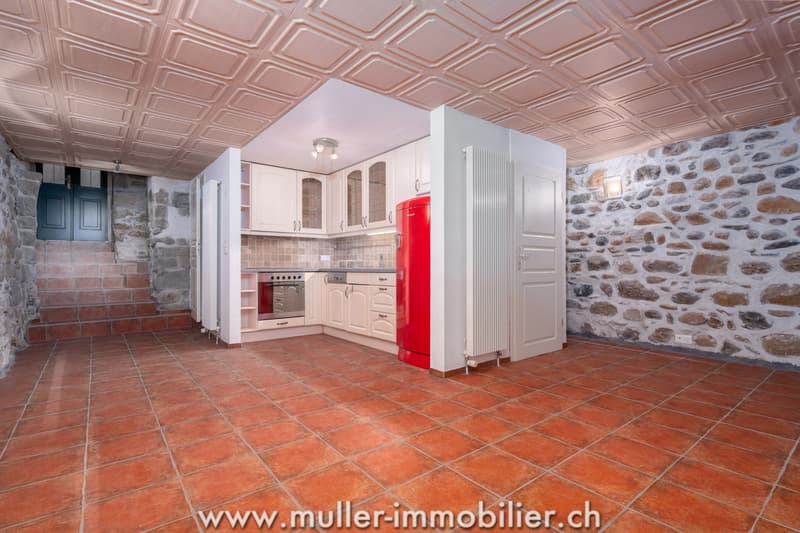 Superbe appartement rénové en plein coeur du bourg de Moudon (10)