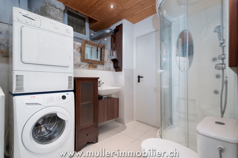 Superbe appartement rénové en plein coeur du bourg de Moudon (11)