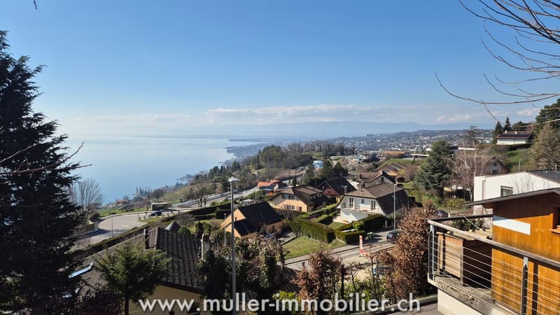 Chalet avec vue exceptionnelle sur parcelle constructible à Grandvaux (2)