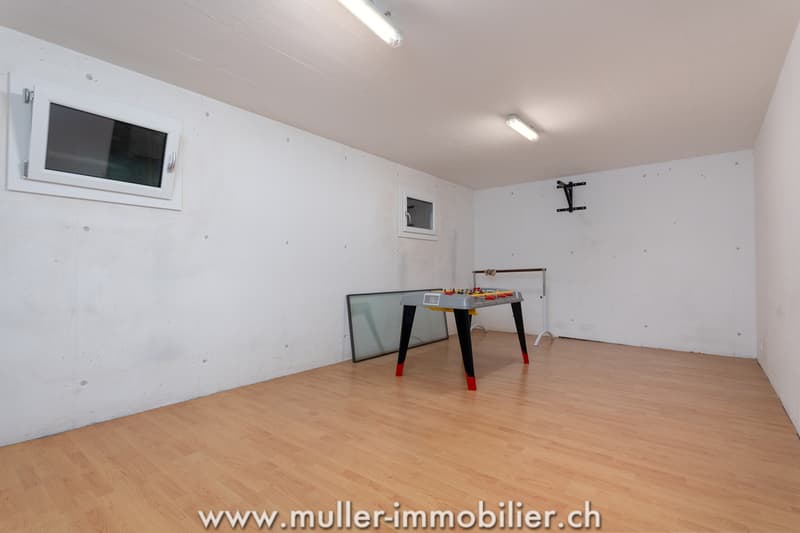 Villa jumelle avec grand terrain et superbe vue à Ollon (10)
