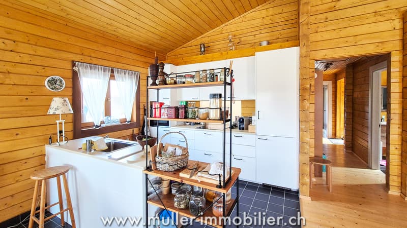 Villa en madrier à quelques pas de la lagune à Cheyres (9)