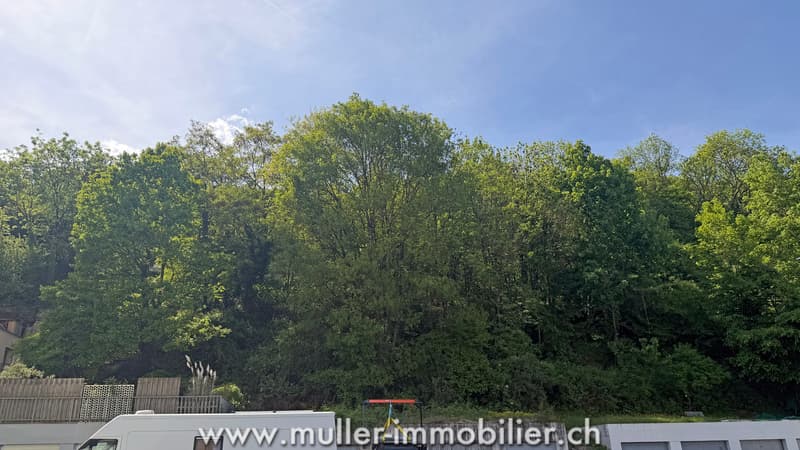 Appartement 3.5 pièces rénové avec balcon à Monthey (9)