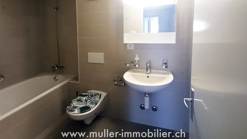 Appartement 3.5 pièces rénové avec balcon à Monthey (6)