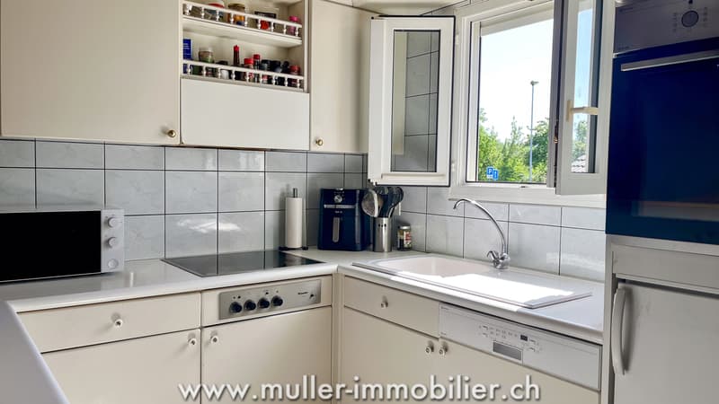 Charmante villa individuelle à 5 min à pied du lac de Morat à Salavaux (5)