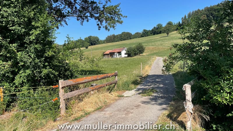 Charmante maison au milieu des prés, proche de Romont (1)