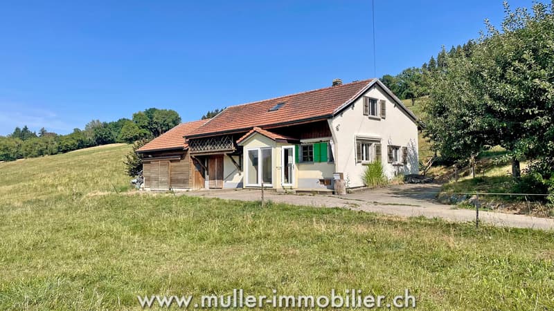 Charmante maison au milieu des prés, proche de Romont (2)