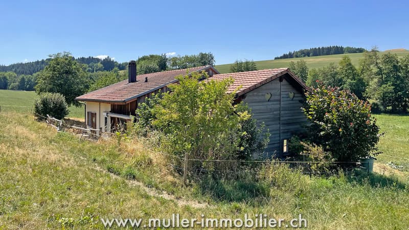 Charmante maison au milieu des prés, proche de Romont (12)