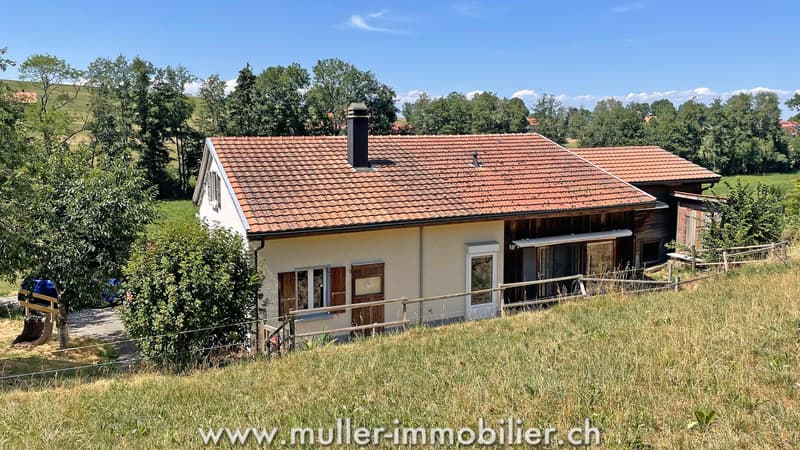Charmante maison au milieu des prés, proche de Romont (11)