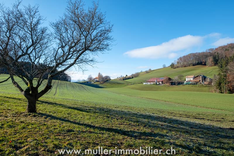 Fermée rénovée : environnement tranquille entouré de champs (12)