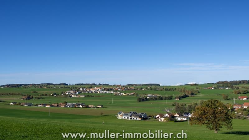 Superbe 3,5 pièces avec balcon en campagne (11)