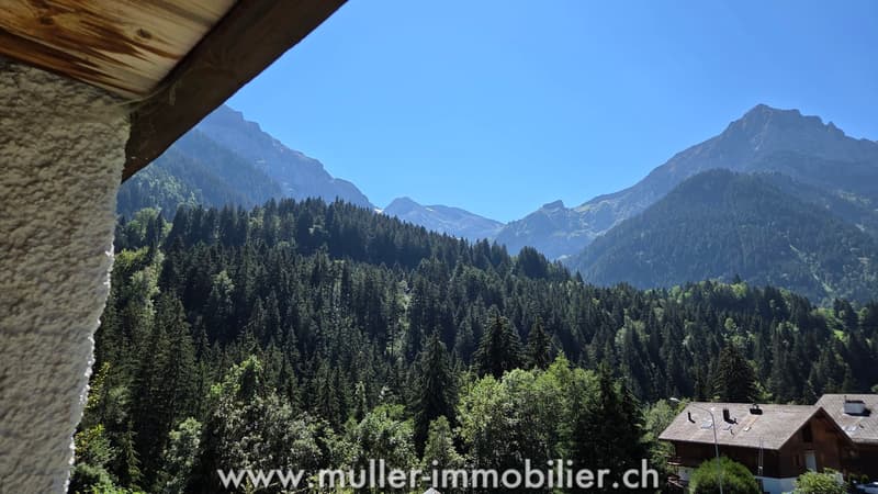 Spacieux chalet, vue sur les Dents du Midi à Champéry (8)