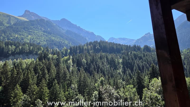 Spacieux chalet, vue sur les Dents du Midi à Champéry (10)