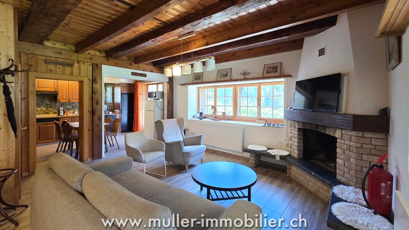 Spacieux chalet, vue sur les Dents du Midi à Champéry (3)