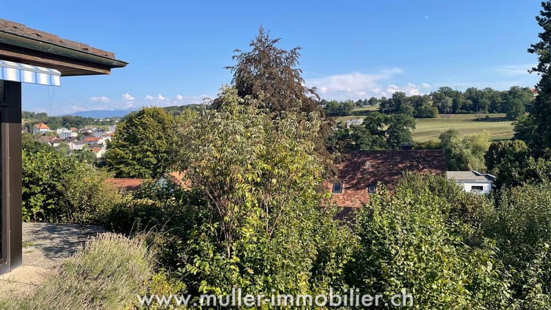 Grande villa individuelle à Belfaux (12)