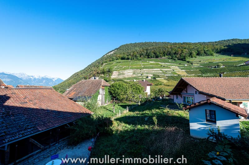 Maison villageoise avec dépendances, à rénover, au centre d'Ollon (9)