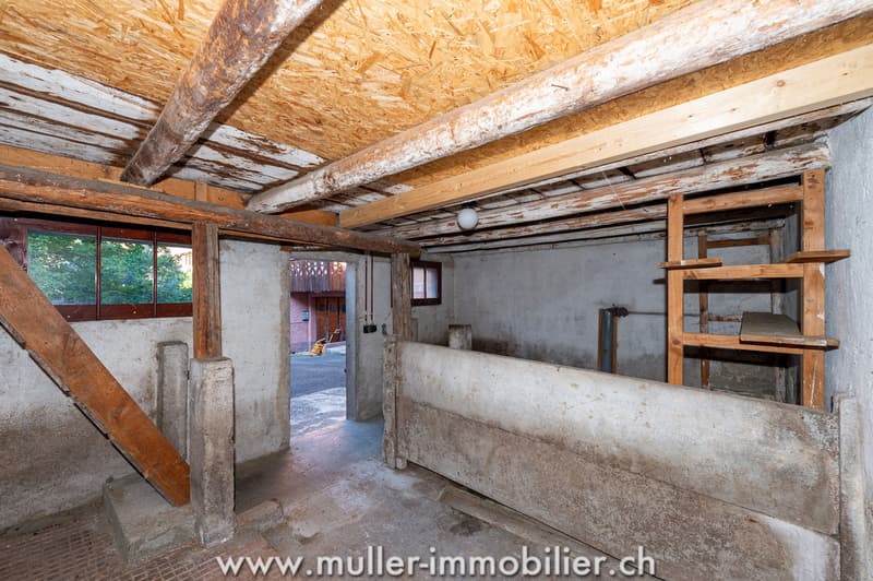Maison villageoise avec dépendances, à rénover, au centre d'Ollon (11)