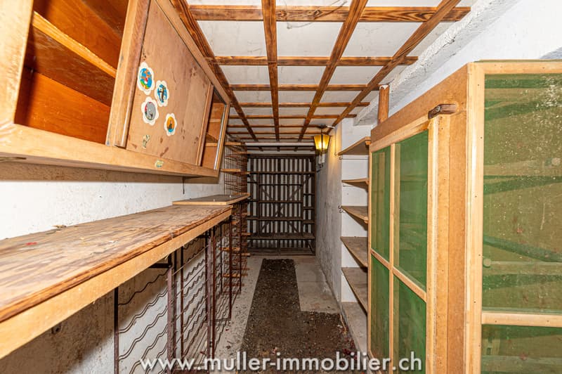 Maison villageoise avec dépendances, à rénover, au centre d'Ollon (13)