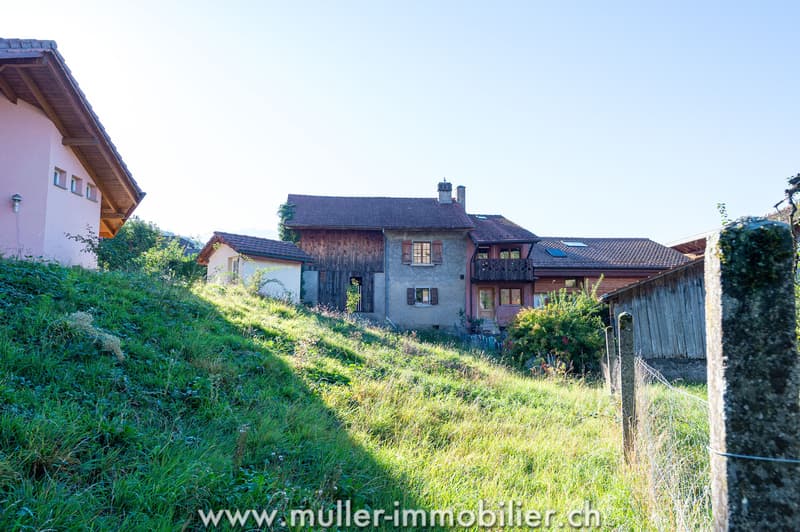 Maison villageoise avec dépendances, à rénover, au centre d'Ollon (2)