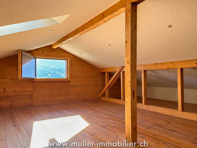 Chalet de caractère surplombant la vallée (7)