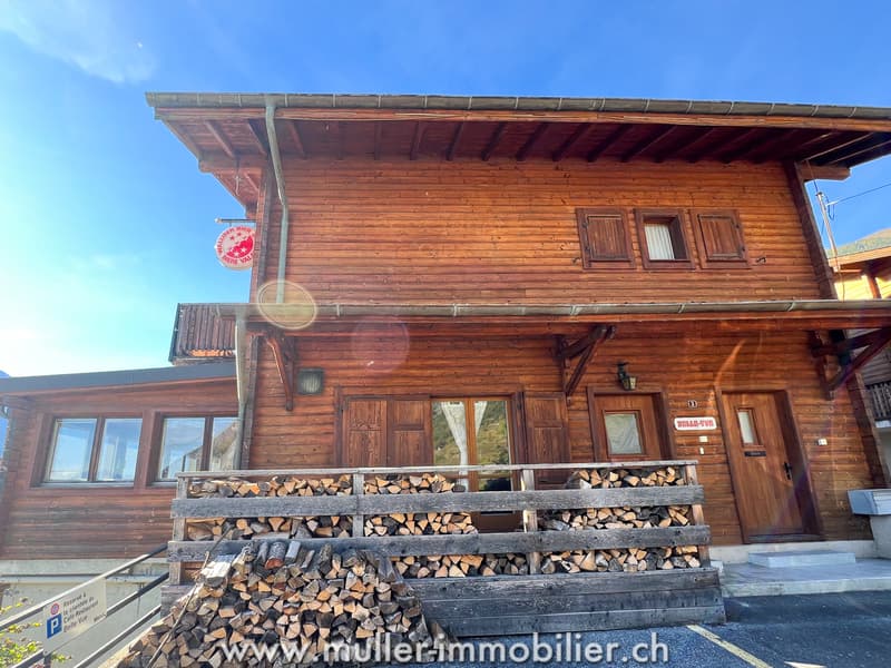 Chalet de caractère surplombant la vallée (9)