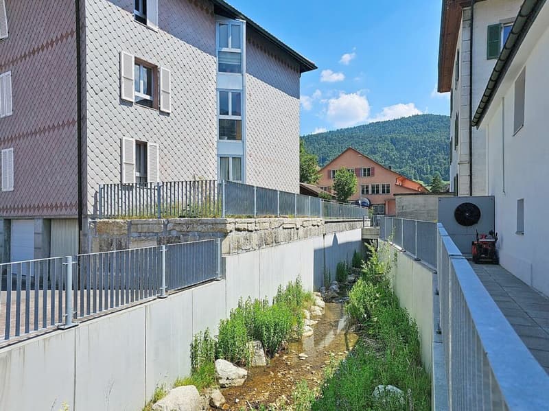 Duplex au rez-de-chaussée de 3.5 pièces avec terrasse (14)