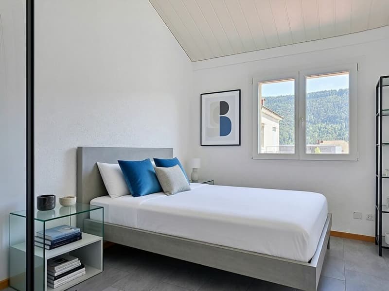 Magnifique appartement entièrement rénové proche du centre (6)