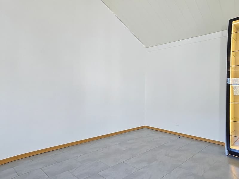Magnifique appartement entièrement rénové proche du centre (4)