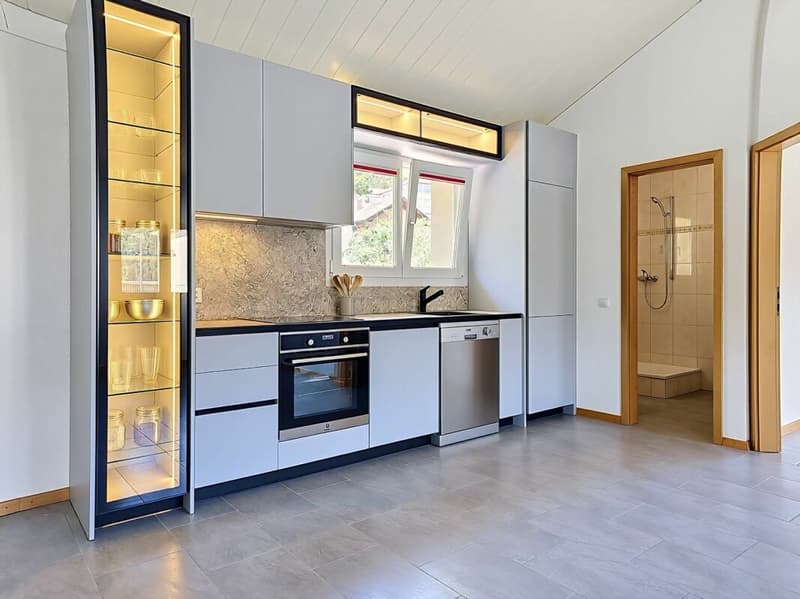 Magnifique appartement entièrement rénové proche du centre (5)