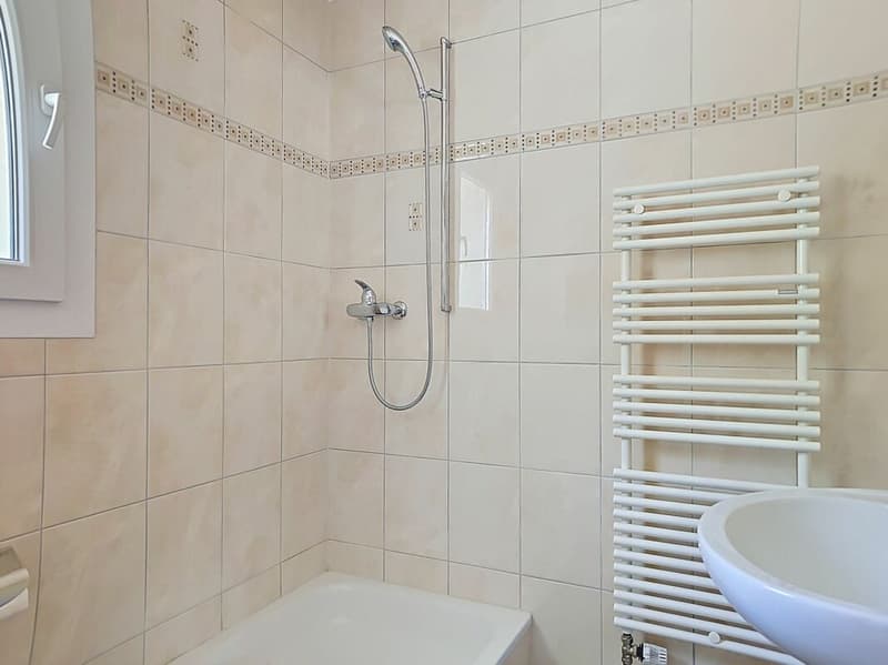 Magnifique appartement entièrement rénové proche du centre (10)