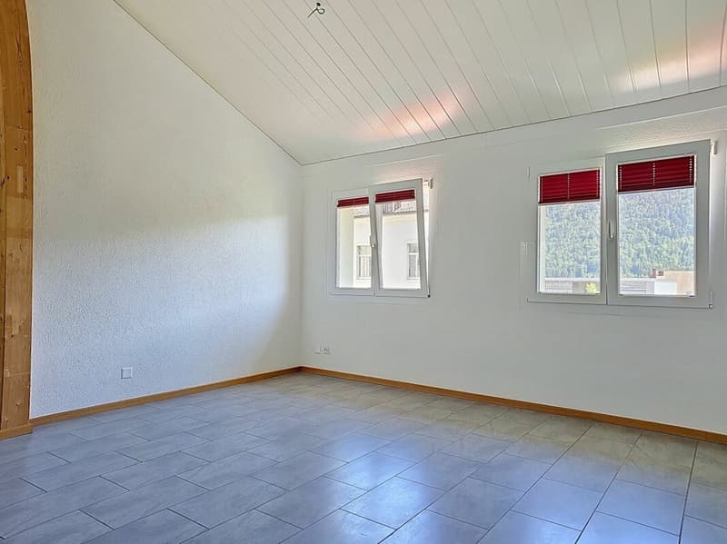 Magnifique appartement entièrement rénové proche du centre (2)