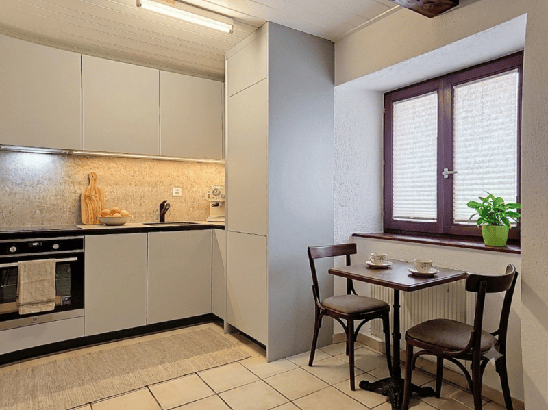 Appartement 2 pièces au rez-de-chaussée (3)