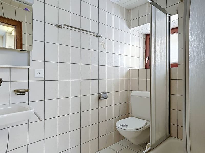 Appartement 2 pièces au rez-de-chaussée (9)