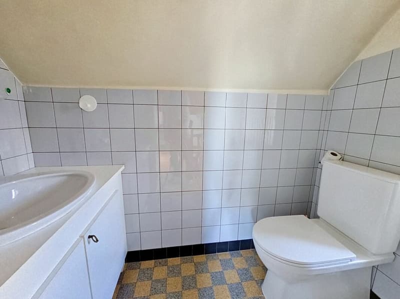 Idéal pour un couple avec grand jardin (14)