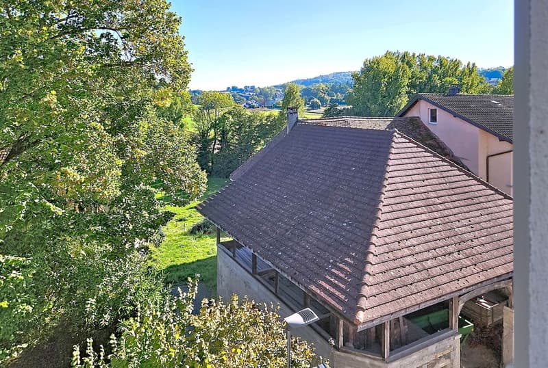 IMMEUBLE POUR INVESTISSEMENT LOCATIF - TRES BONNE CONDITION PROCHE PAYERNE ET ESTAVAYER  (FR) (10)