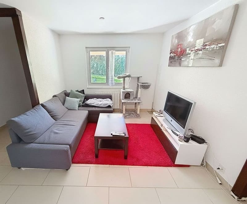 Maison individuelle de 6.5 pces ( 170 m2 ) +un apparemment de 3 pces de 61m2 , piscine et grand jardin - à 10 min de Lausanne (12)