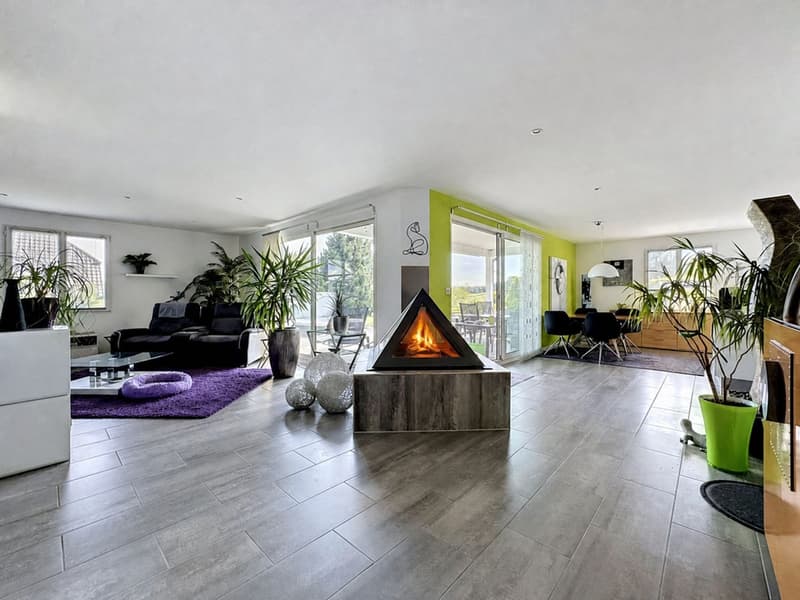 Villa de plain-pied 4.5 pièces avec piscine, jacuzzi, salle de cinéma et 3 garages box (4)
