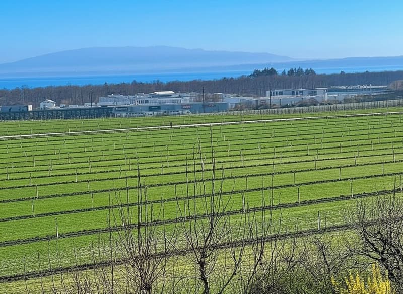 Duplex 4.5 pièces au dernier étage avec vue spectaculaire sur le Léman, les Alpes et les vignobles (2)