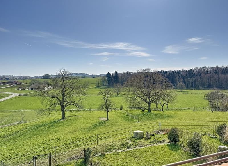 Duplex en attique à 10min d'Aubonne dans le charmant village de Gimel. (13)