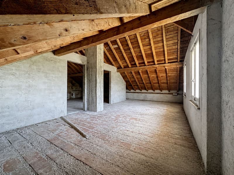 Coup de coeur assuré - Maison familiale lumineuse avec corps de ferme, grand terrain & multiples possibilités (11)