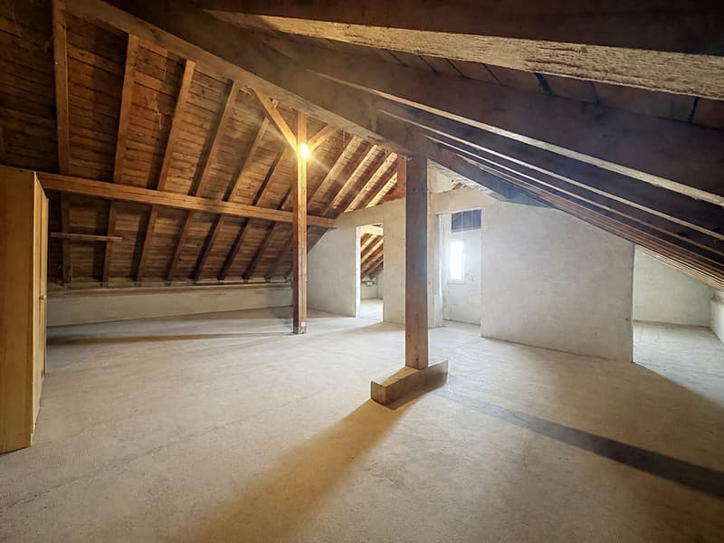 Coup de coeur assuré - Maison familiale lumineuse avec corps de ferme, grand terrain & multiples possibilités (12)