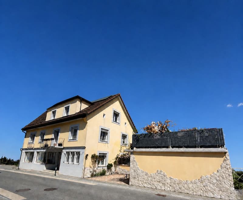 Immeuble de 2 appartements, un local commercial - 2 chambres- 2 places de parc et un garage/ Terrasse au centre du village (1)
