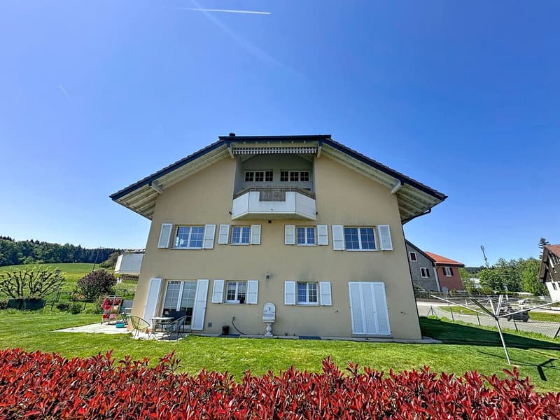 Duplex lumineux aux volumes généreux au coeur de Servion (3)