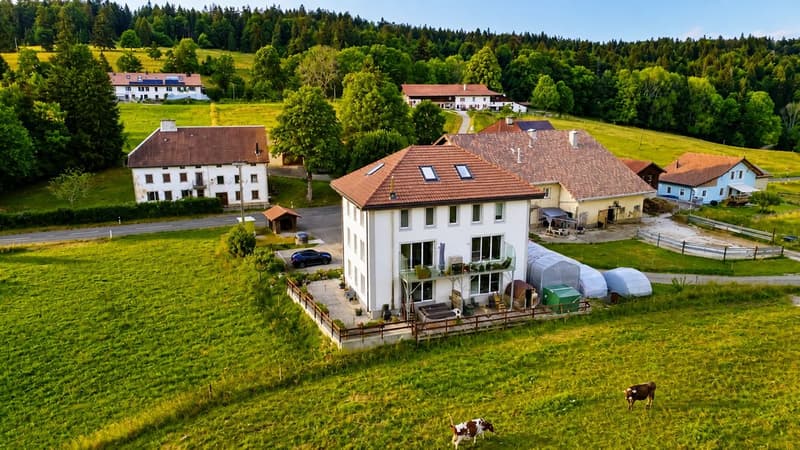 Bien rare et élégant, offrant un cadre idéal pour une famille ou une activité B&B, avec vue spectaculaire (1)