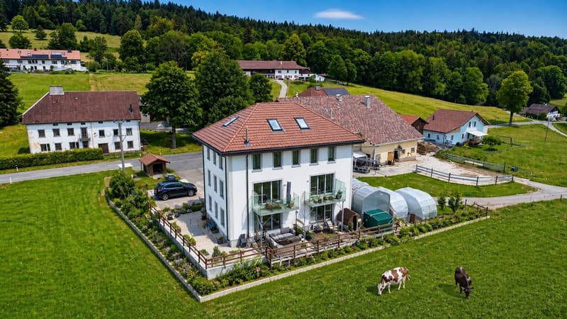 Bien rare et élégant, offrant un cadre idéal pour une famille ou une activité B&B, avec vue spectaculaire (1)