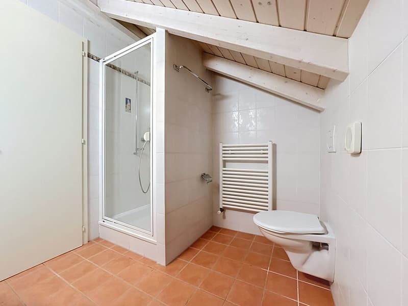 Le duplex qui fait rêver, dernier étage, vue sur la nature (6)