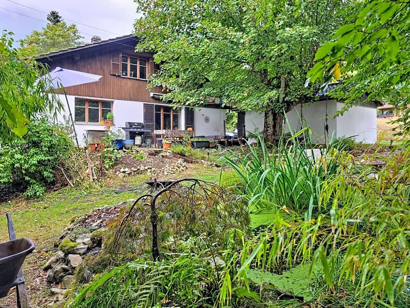 Maison avec grand terrain et potentiel d'autonomie - Chaumont (NE) (1)