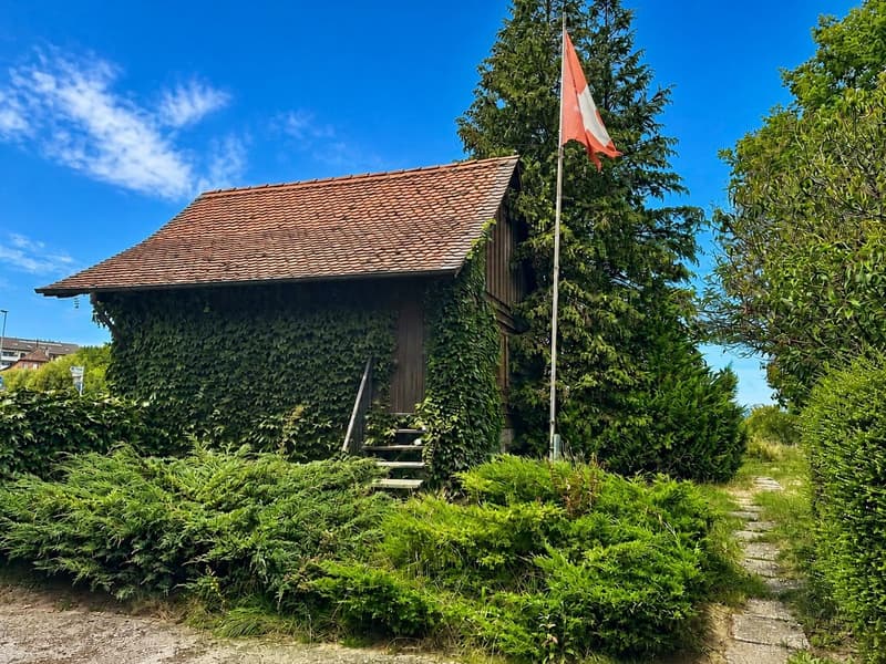 Opportunité rare à Villars-Mendraz, une propriété à réinventer (3)