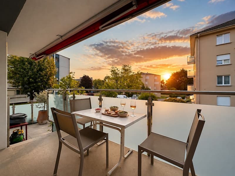 Entre lac et ville, l'appartement qui coche toutes les cases (8)